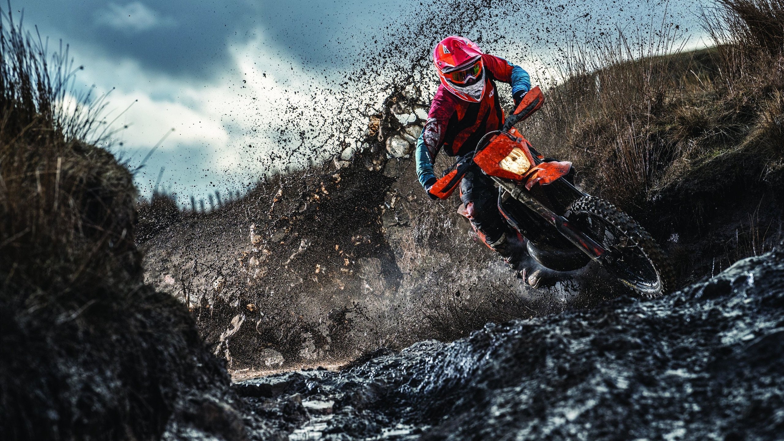 选手转会市场持续升温，职业选手转会是自愿的吗